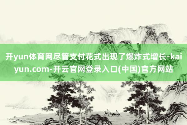 开yun体育网尽管支付花式出现了爆炸式增长-kaiyun.com-开云官网登录入口(中国)官方网站