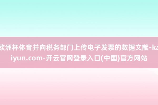 欧洲杯体育并向税务部门上传电子发票的数据文献-kaiyun.com-开云官网登录入口(中国)官方网站